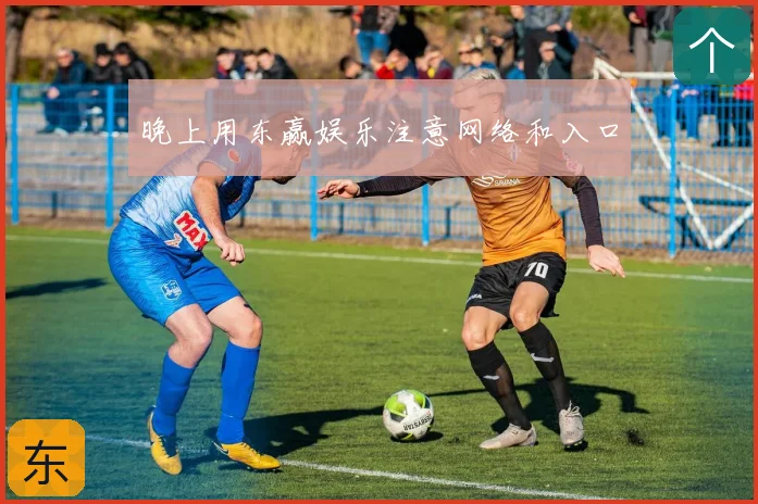 晚上用东赢娱乐注意网络和入口