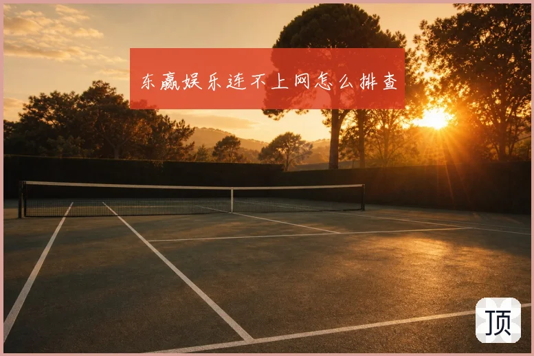 东赢娱乐连不上网怎么排查
